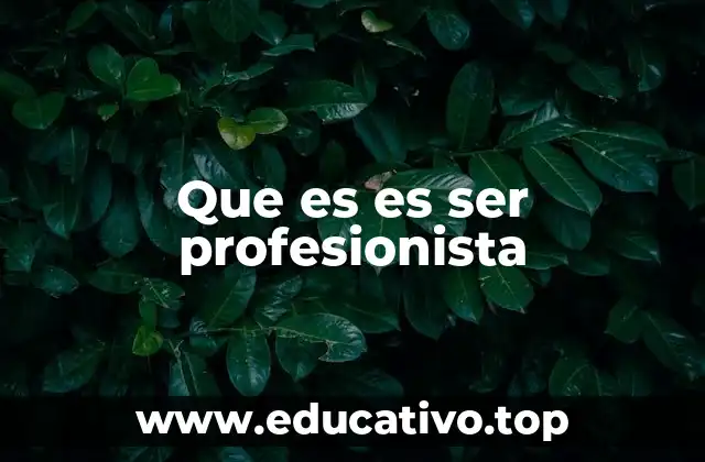 Las características que definen a un verdadero profesional