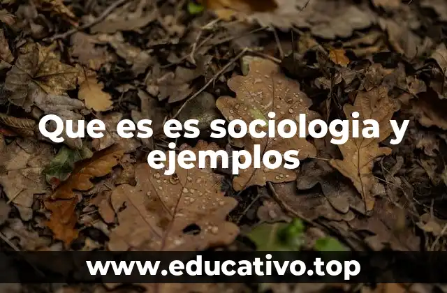 Que es es sociologia y ejemplos