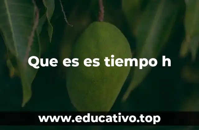 Que es es tiempo h