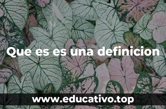 Que es es una definicion