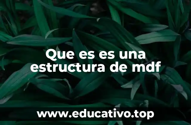 Que es es una estructura de mdf