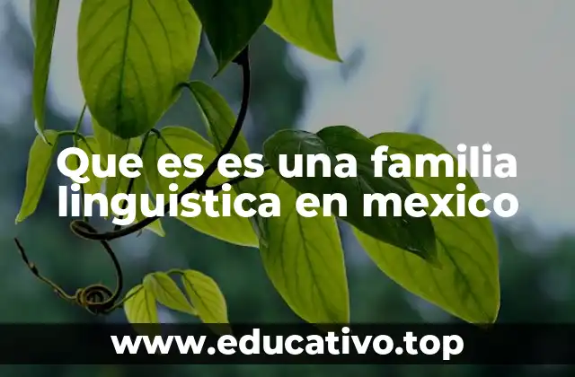 La diversidad lingüística como reflejo de la identidad mexicana