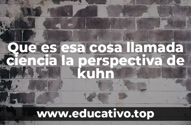 Que es esa cosa llamada ciencia la perspectiva de kuhn