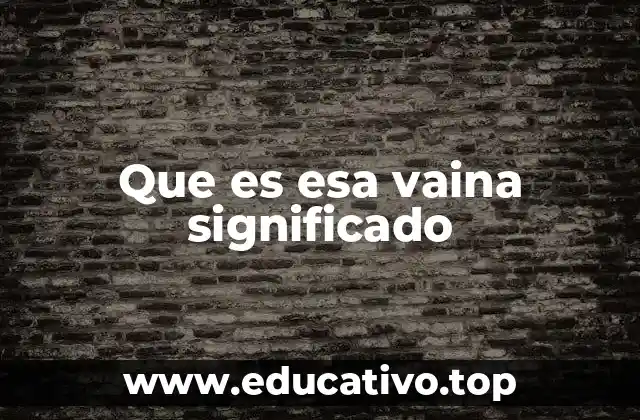 Que es esa vaina significado
