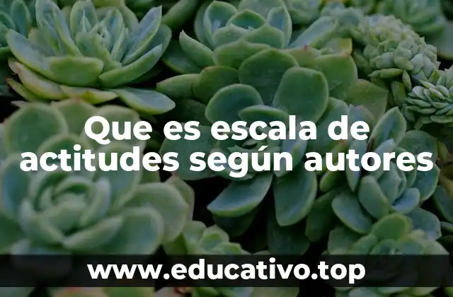 Que es escala de actitudes según autores