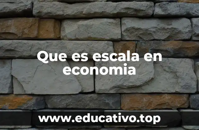 Que es escala en economia