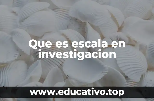 Que es escala en investigacion