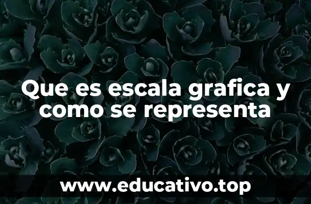 Que es escala grafica y como se representa