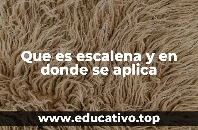 Que es escalena y en donde se aplica