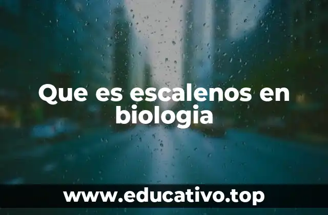 Que es escalenos en biologia