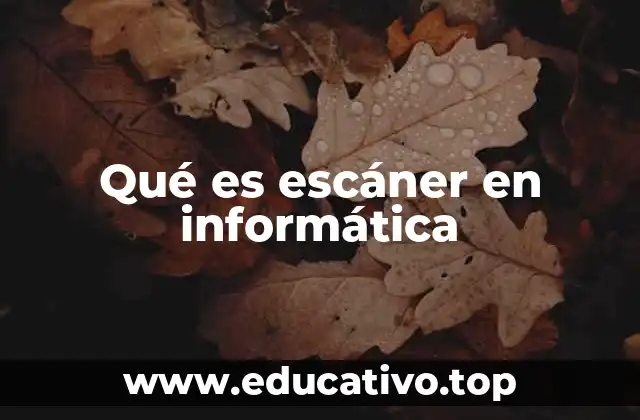 Qué es escáner en informática