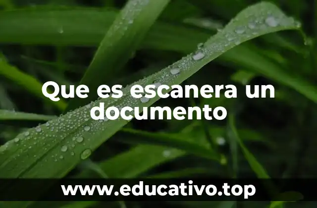 Cómo funciona el proceso de escaneo de documentos