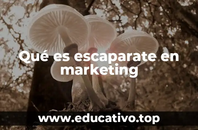 Qué es escaparate en marketing