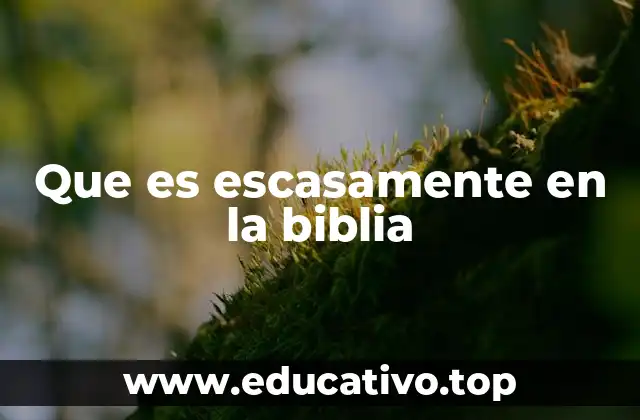 Que es escasamente en la biblia