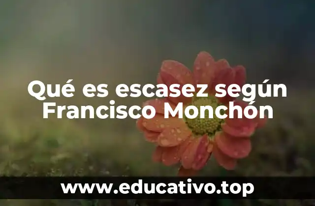 Qué es escasez según Francisco Monchón