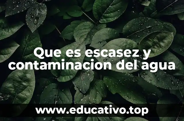 Que es escasez y contaminacion del agua