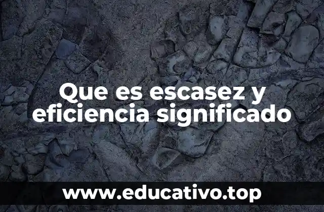 Que es escasez y eficiencia significado