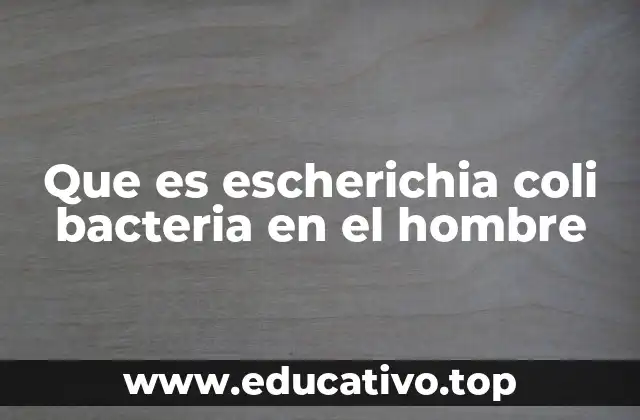 Que es escherichia coli bacteria en el hombre