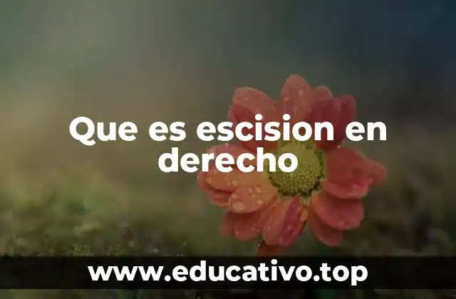 Cómo se gestiona la división de una empresa