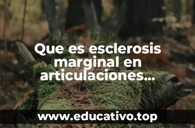 Que es esclerosis marginal en articulaciones sacroiliacas