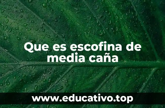 Que es escofina de media caña