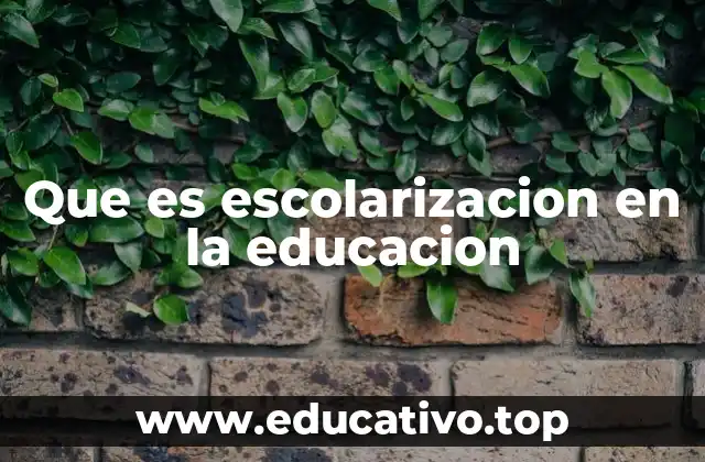 Que es escolarizacion en la educacion