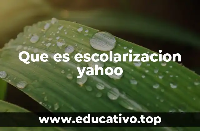 Que es escolarizacion yahoo