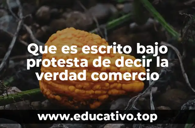 Que es escrito bajo protesta de decir la verdad comercio