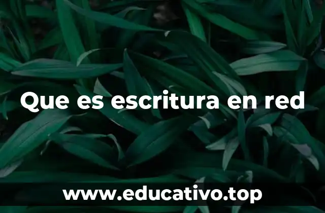 Que es escritura en red