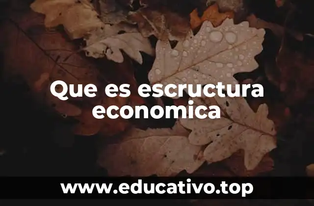 Que es escructura economica