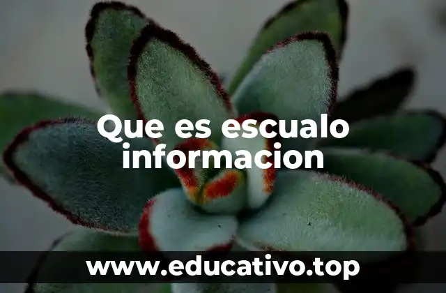 Que es escualo informacion