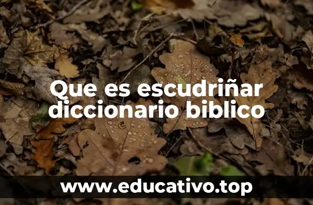 Que es escudriñar diccionario biblico