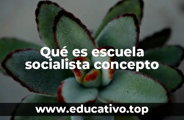 Qué es escuela socialista concepto