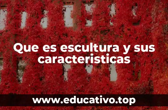 Que es escultura y sus caracteristicas