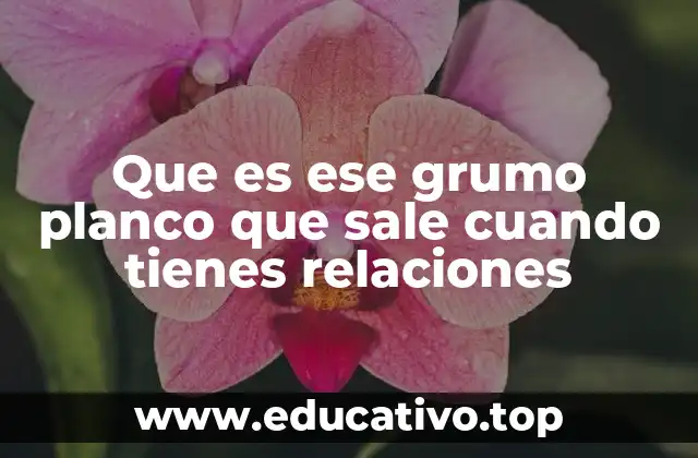 Que es ese grumo planco que sale cuando tienes relaciones