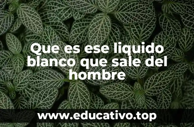 Que es ese liquido blanco que sale del hombre
