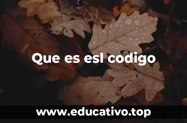 La importancia del enfoque de aprendizaje del inglés como segundo idioma