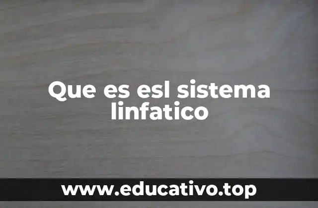 Que es esl sistema linfatico
