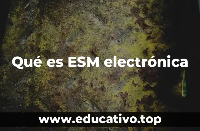 Qué es ESM electrónica