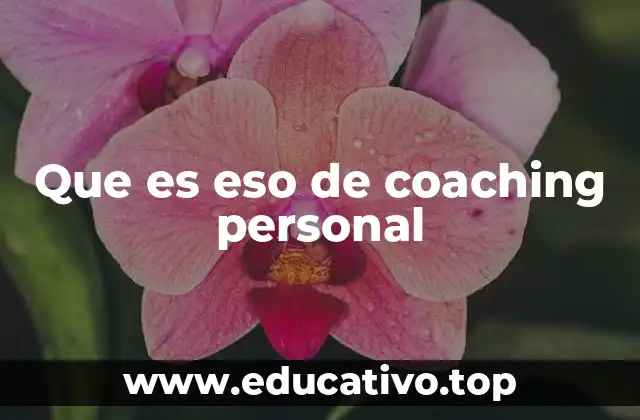 Que es eso de coaching personal
