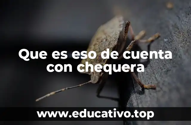 Que es eso de cuenta con chequera