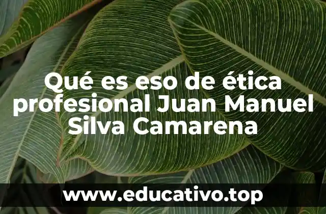 Qué es eso de ética profesional Juan Manuel Silva Camarena