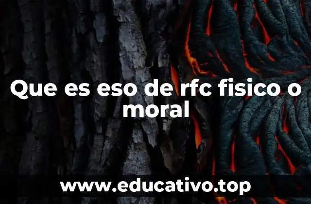 Que es eso de rfc fisico o moral