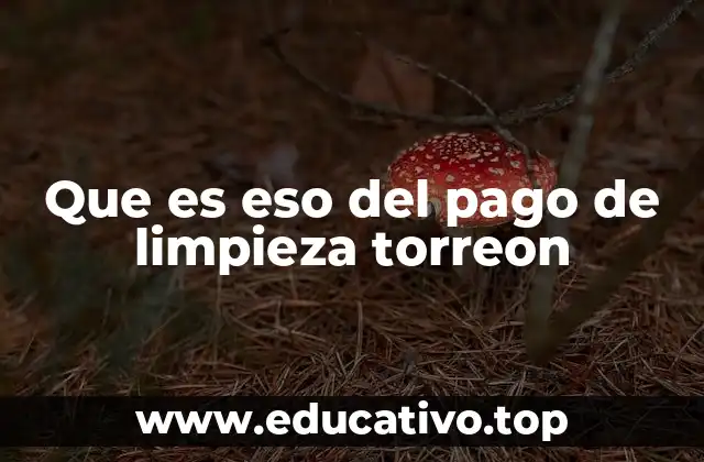 La importancia del pago de limpieza para el desarrollo urbano