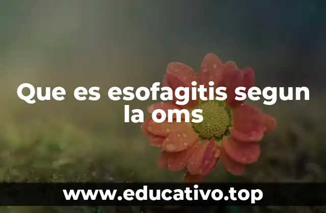 Que es esofagitis segun la oms