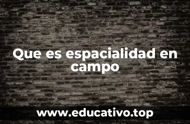 Que es espacialidad en campo