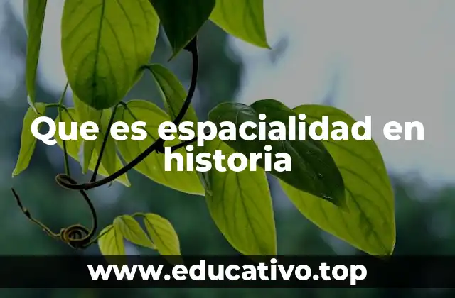 Que es espacialidad en historia