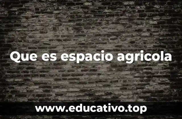 Que es espacio agricola