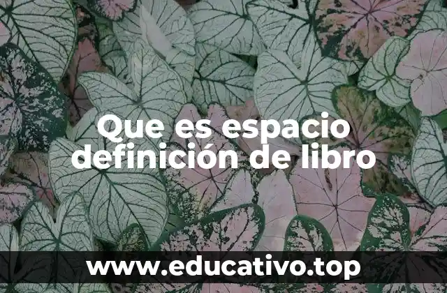 Que es espacio definición de libro