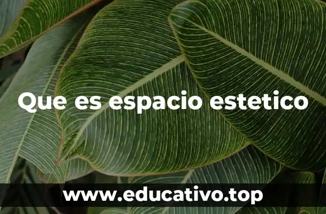 Que es espacio estetico